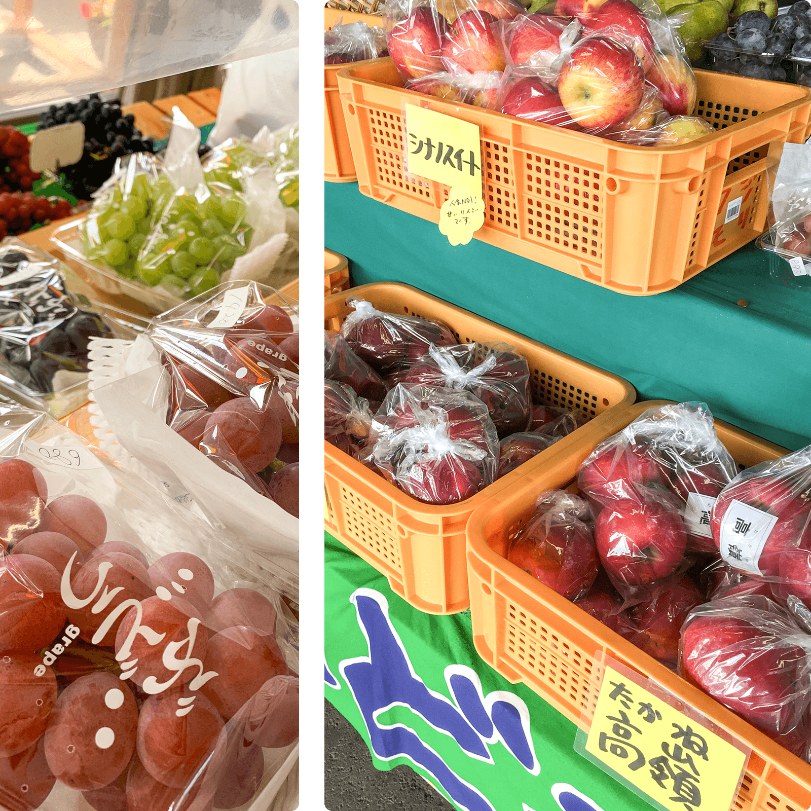 直売所の内観