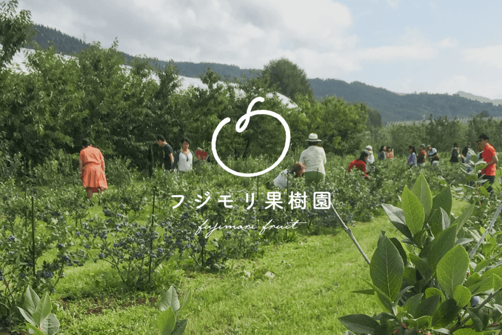 事前予約不要で楽しめるくだもの狩りの外観
