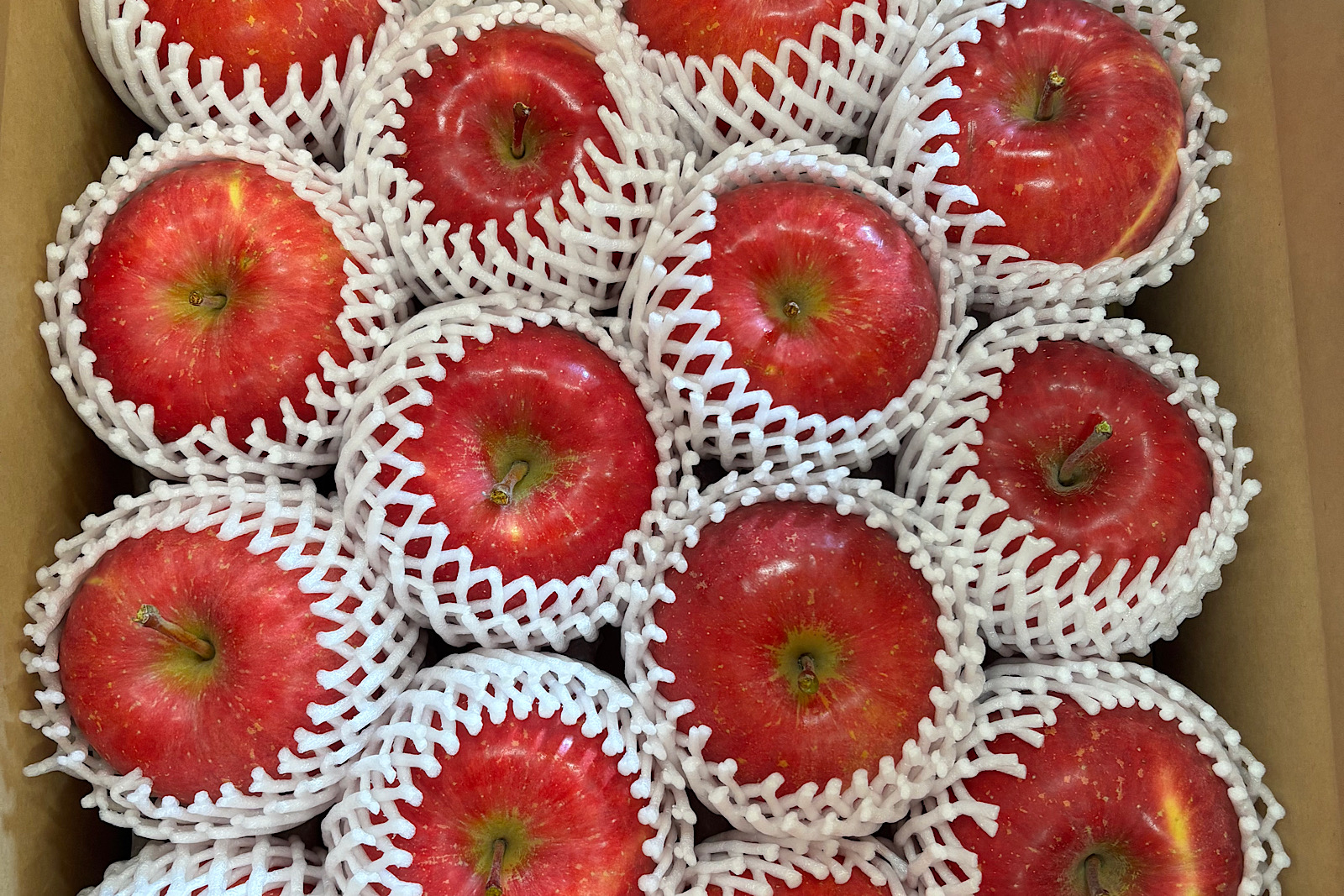 早生ふじ販売開始・竜宝完売（10/14更新）