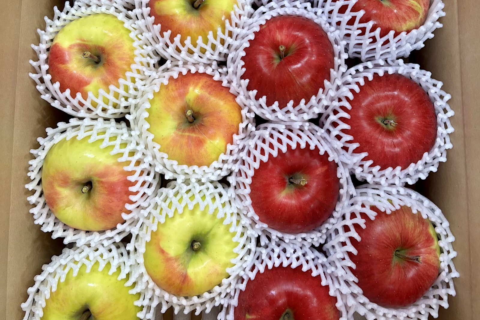 「シナノスイート」と「ぐんま名月」