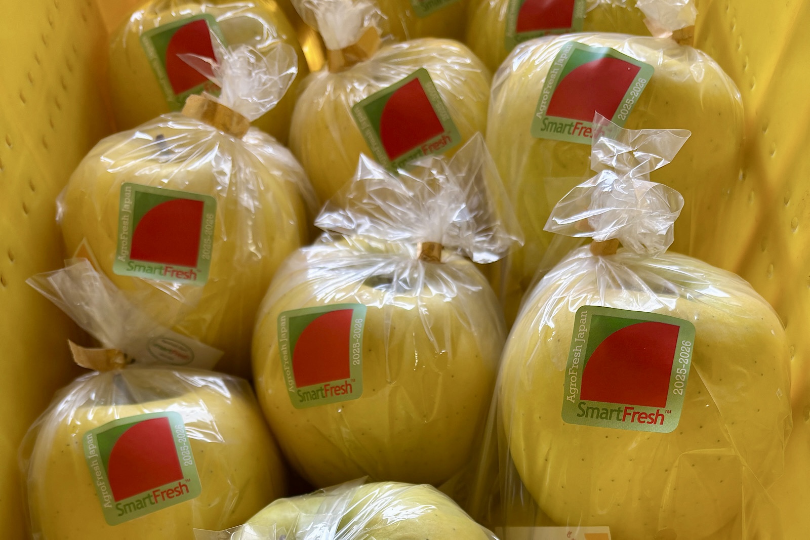 直売所終了のお知らせ