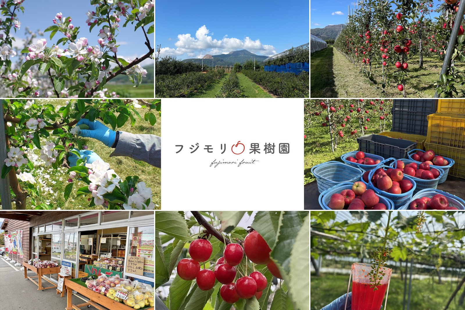 採用情報ページを公開しました