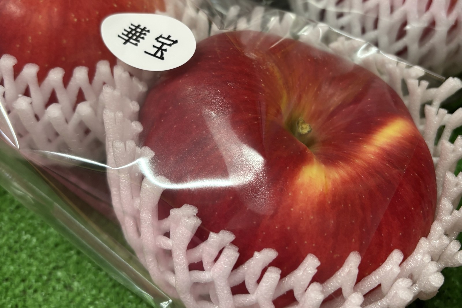 「竜宝」と「華宝」